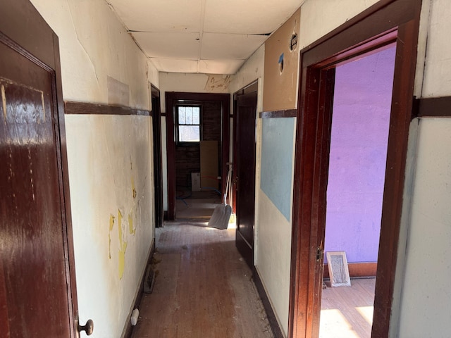 hallway with dark hardwood / wood-style flooring