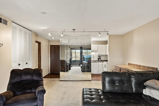 living room with sink, light carpet, and a textured ceiling