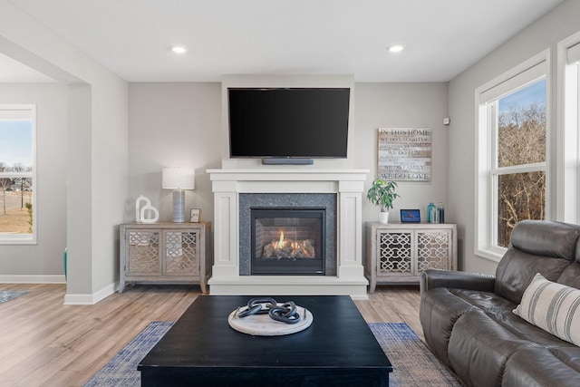 living area featuring wood finished floors, baseboards, and a wealth of natural light