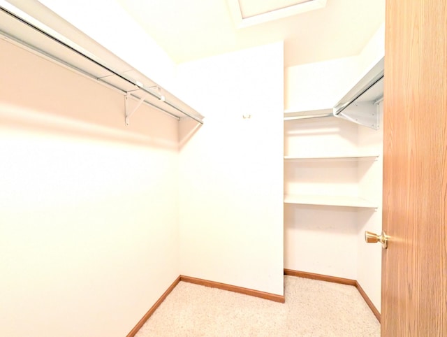 view of spacious closet