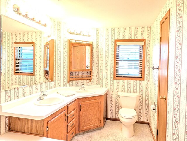501 Lac Qui Parle Ave N, Canby, MN 56220 - bathroom featuring plenty of natural light, toilet, double vanity, and wallpapered walls