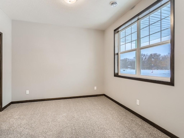 empty room with a water view and carpet