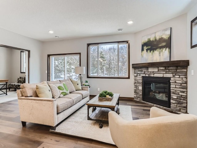 living room featuring a fireplace and hardwood / wood-style floors