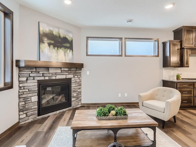 living room featuring hardwood / wood-style flooring and a stone fireplace