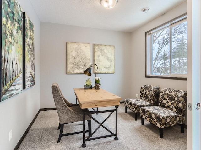 view of carpeted home office