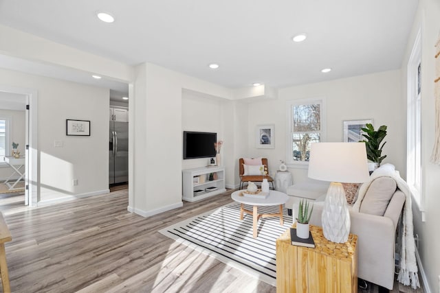 living room with hardwood / wood-style floors