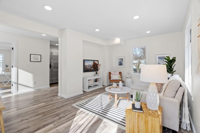 living room featuring hardwood / wood-style floors