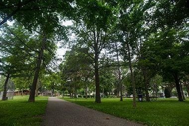 view of community featuring a lawn