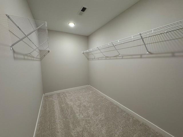 walk in closet with carpet flooring