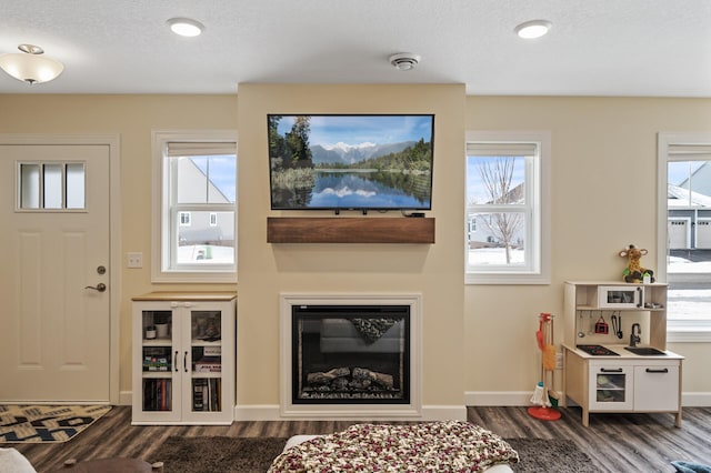 living room with wood-type flooring and a healthy amount of sunlight