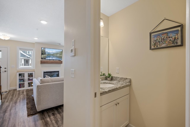 bathroom with hardwood / wood-style flooring and vanity