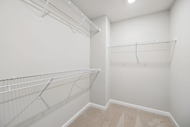 walk in closet with carpet