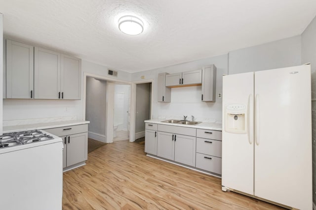 kitchen with gray cabinets, sink, white appliances, a textured ceiling, and light hardwood / wood-style flooring