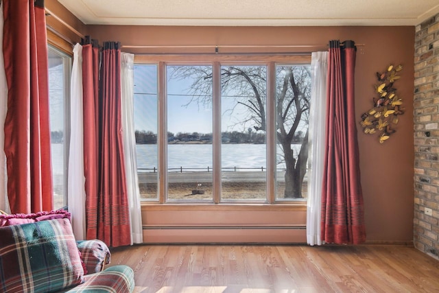 interior space with a water view, a baseboard radiator, a healthy amount of sunlight, and light wood-type flooring