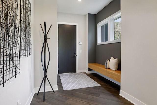 foyer entrance with dark hardwood / wood-style flooring