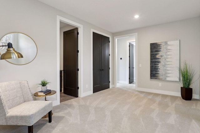 living area featuring light colored carpet