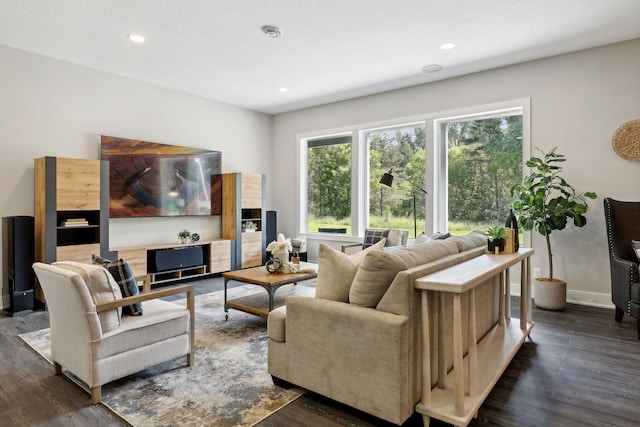 living room with dark hardwood / wood-style floors