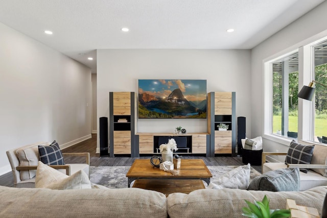 living room with dark hardwood / wood-style floors