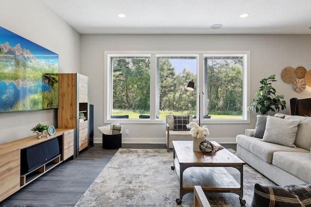 living room with dark wood-type flooring