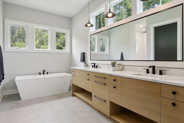9533 Otchipwe Ave N, Stillwater, MN 55082 - bathroom featuring double vanity, a sink, a freestanding tub, and baseboards