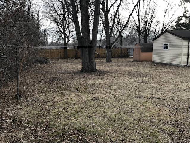 view of yard with a shed