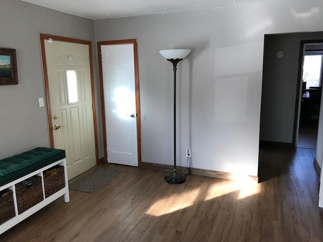 entrance foyer featuring hardwood / wood-style floors