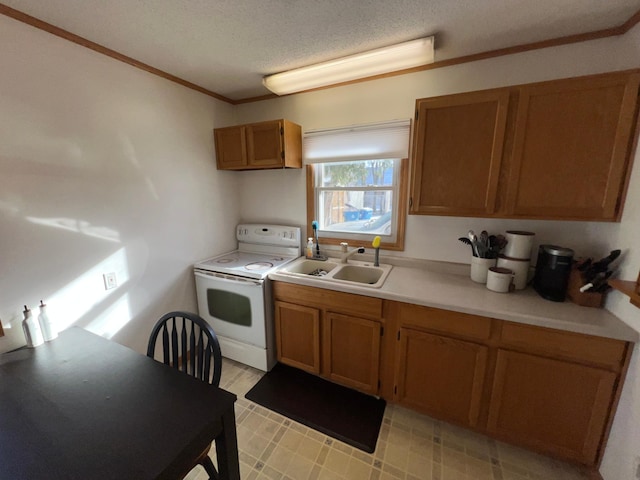 kitchen with ornamental molding, sink, white electric range, and a textured ceiling