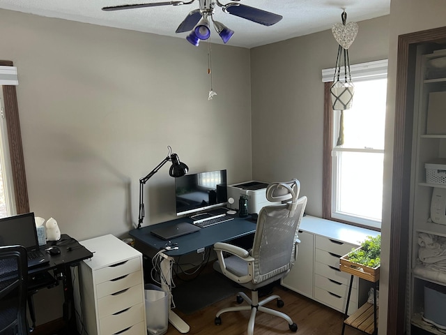 office with dark wood-type flooring, ceiling fan, and plenty of natural light