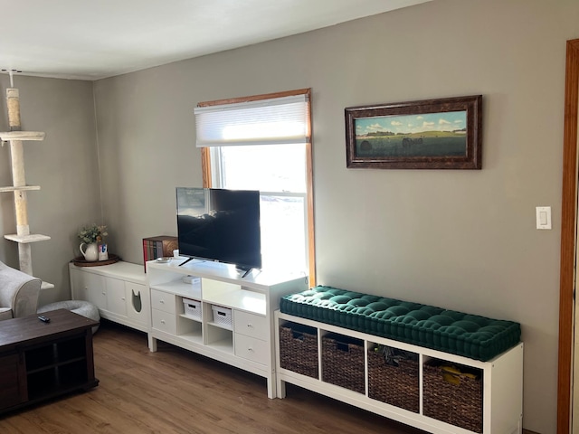 living room with dark hardwood / wood-style floors