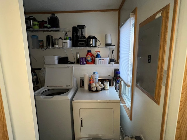 washroom featuring ornamental molding, electric panel, and independent washer and dryer