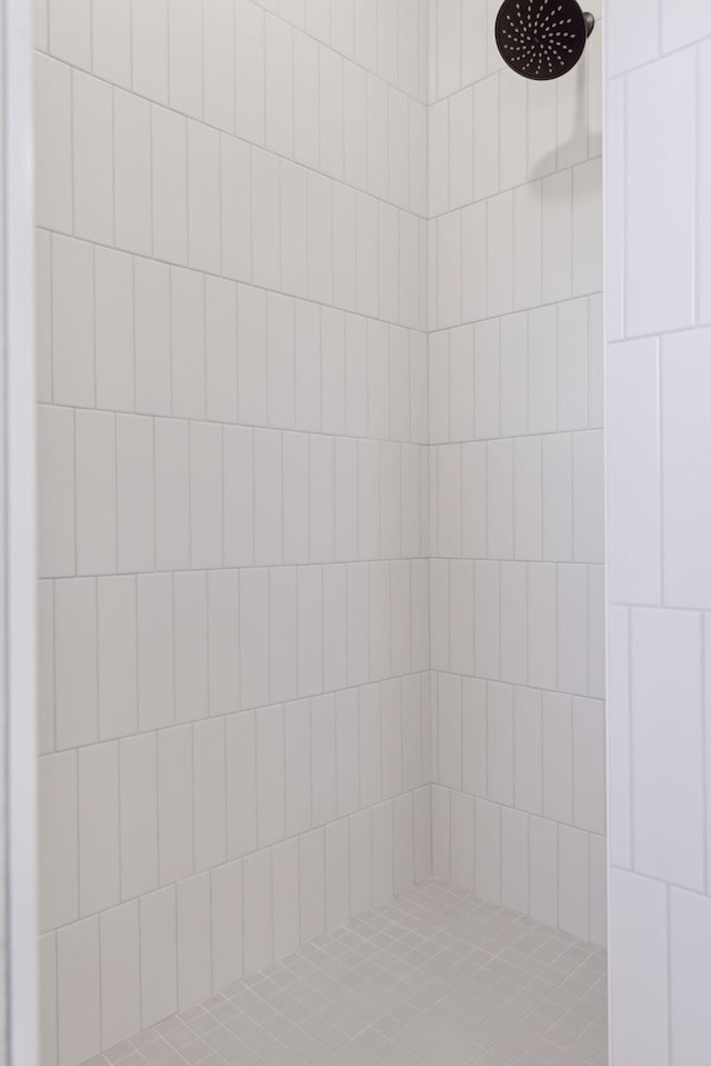 21933 Edison Ct, East Bethel, MN 55011 - interior details featuring tiled shower