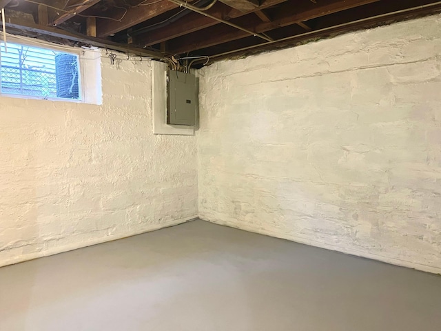 basement with electric panel