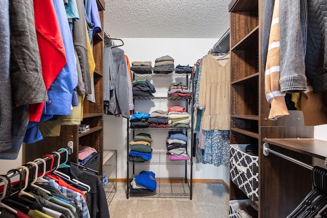 spacious closet with carpet