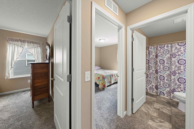 18943 Ivanhoe St NW, Elk River, MN 55330 - hallway with carpet floors, a textured ceiling, visible vents, and baseboards