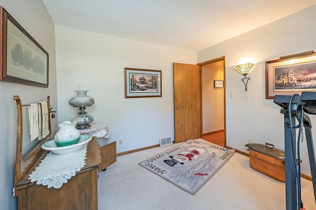 interior space with light carpet and a textured ceiling