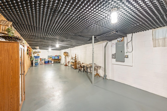 basement with electric panel