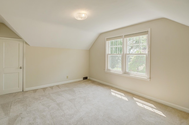 5524 Columbus Ave, Minneapolis, MN 55417 - bonus room featuring lofted ceiling and carpet floors