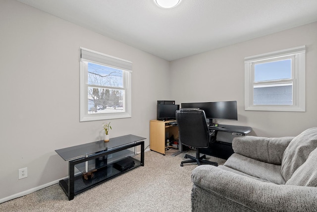 carpeted office with a wealth of natural light