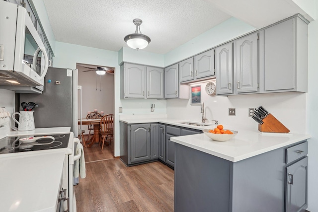 kitchen with wood finished floors, a ceiling fan, gray cabinets, white appliances, and a sink