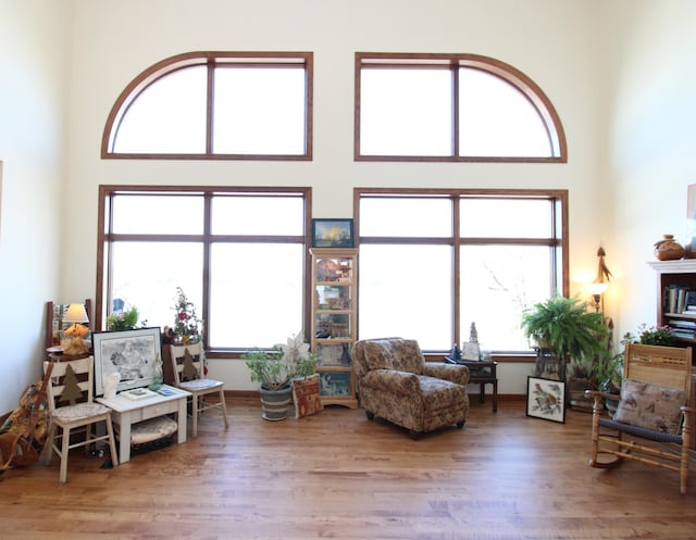 living area featuring a high ceiling, wood finished floors, and a desk