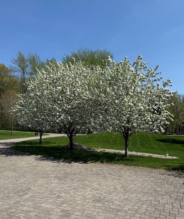 view of property's community featuring a yard