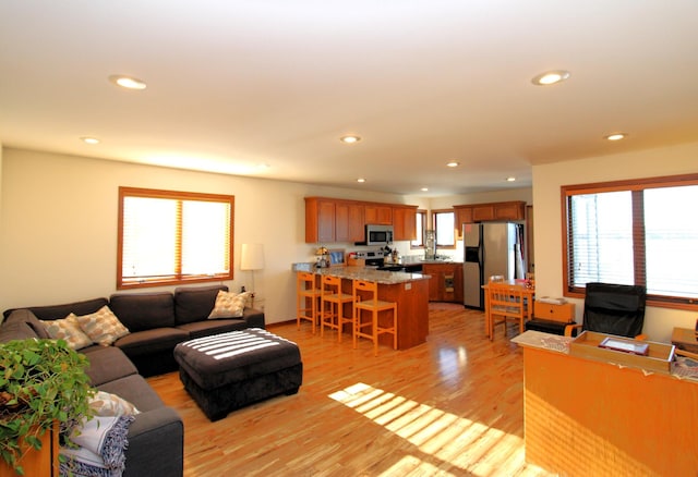 19699 623rd Ave, Litchfield, MN 55355 - living room featuring recessed lighting and light wood finished floors