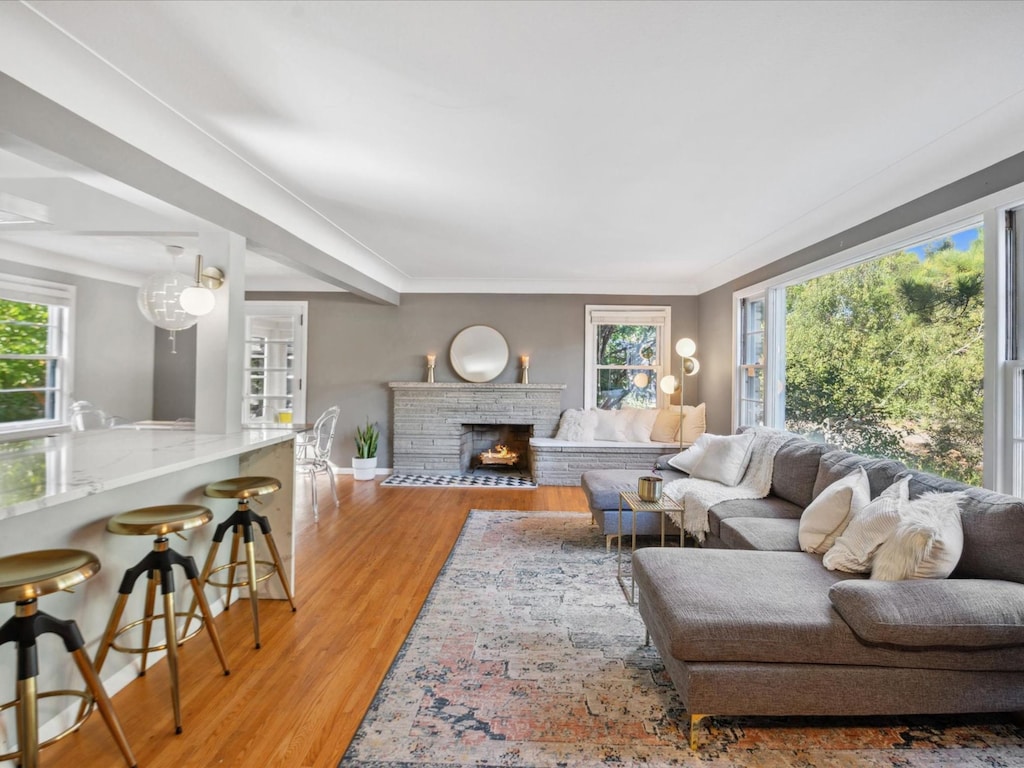 living room with hardwood / wood-style flooring, a fireplace, and ornamental molding