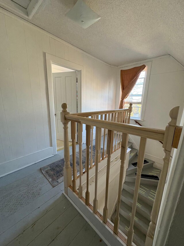 20 1st Ave NW, Plainview, MN 55964 - stairs featuring wood-type flooring and a textured ceiling