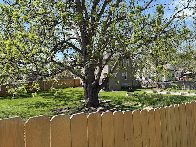 20 1st Ave NW, Plainview, MN 55964 - view of yard