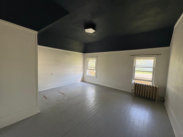 20 1st Ave NW, Plainview, MN 55964 - empty room with radiator, wood-type flooring, lofted ceiling, and baseboards