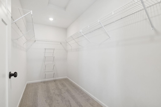 spacious closet featuring carpet