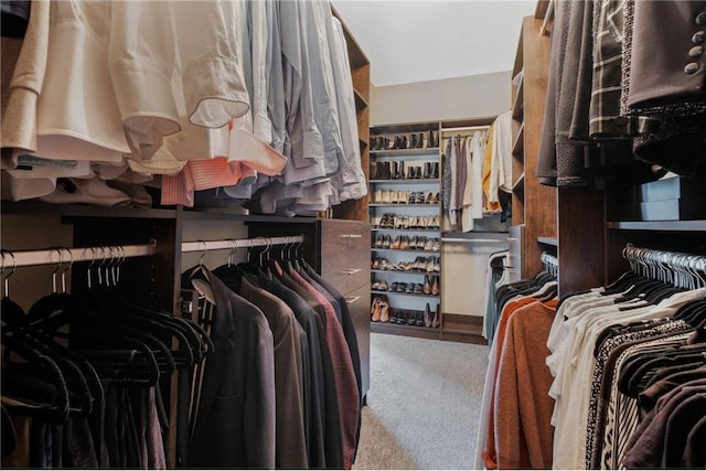 spacious closet featuring carpet floors