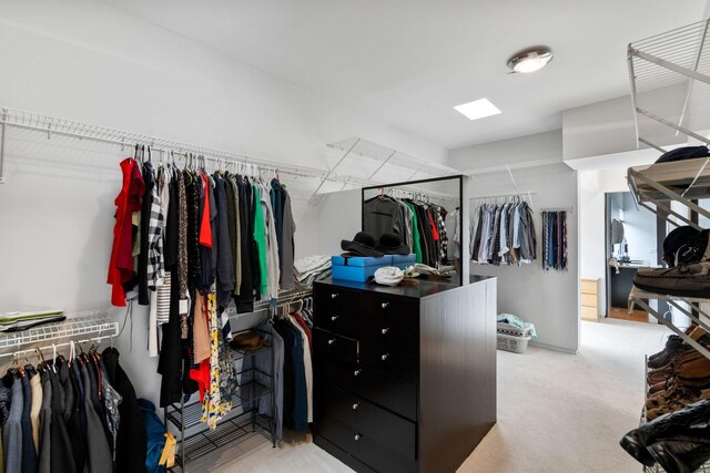 spacious closet with carpet flooring