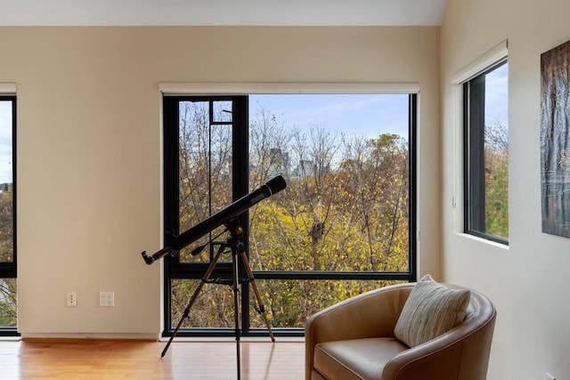 living area featuring wood finished floors